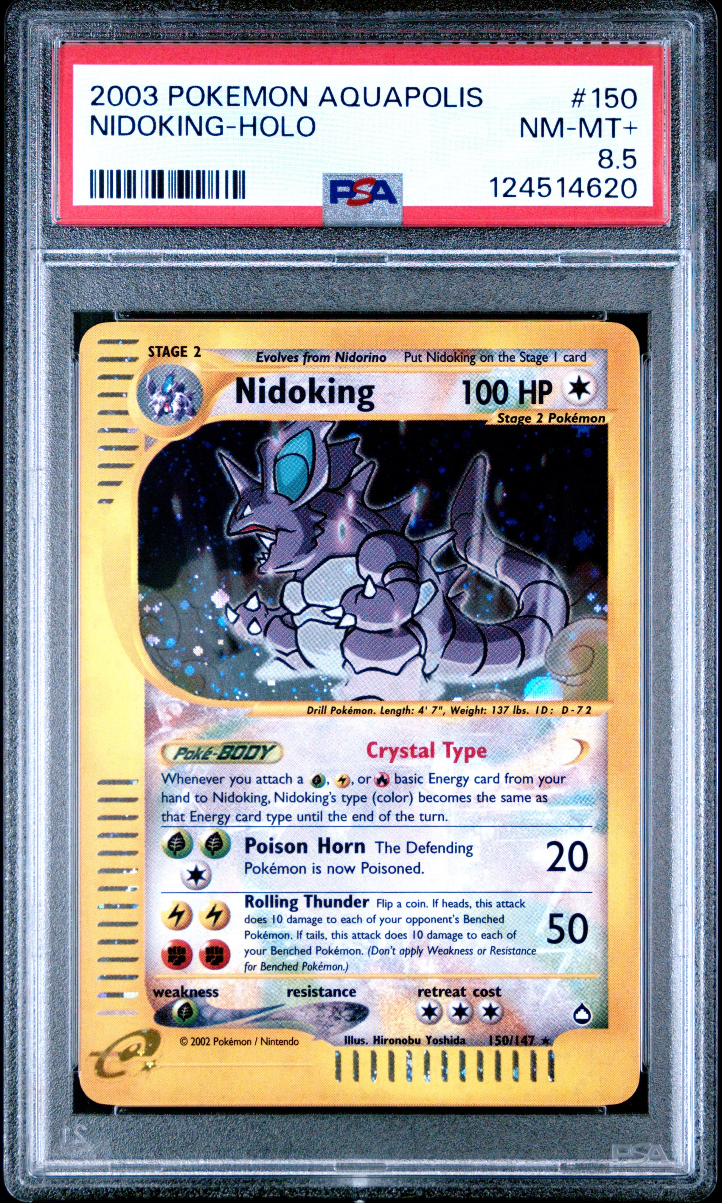 Nidoking-Holo