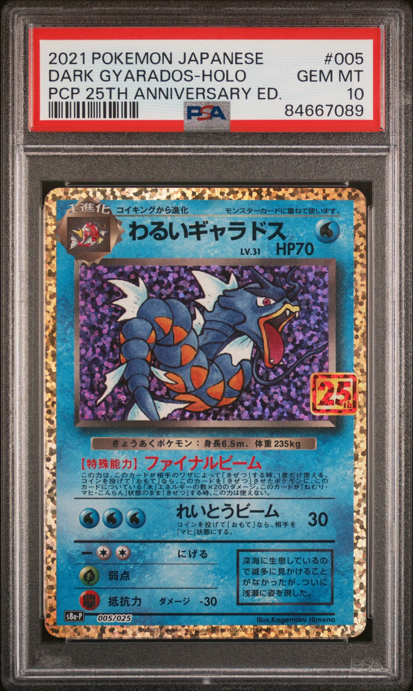 Dark Gyarados-Holo