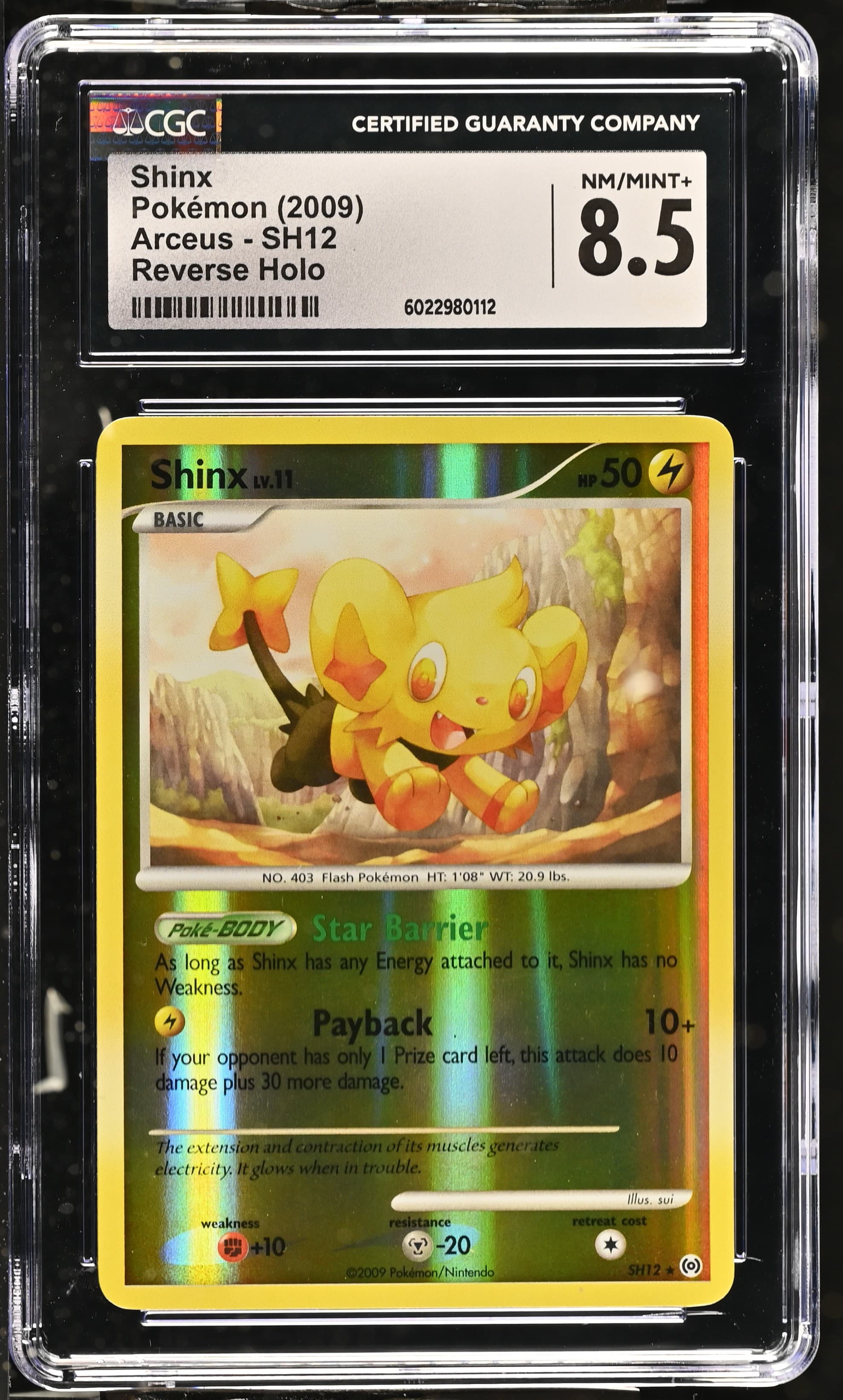 Shinx Reverse Holo