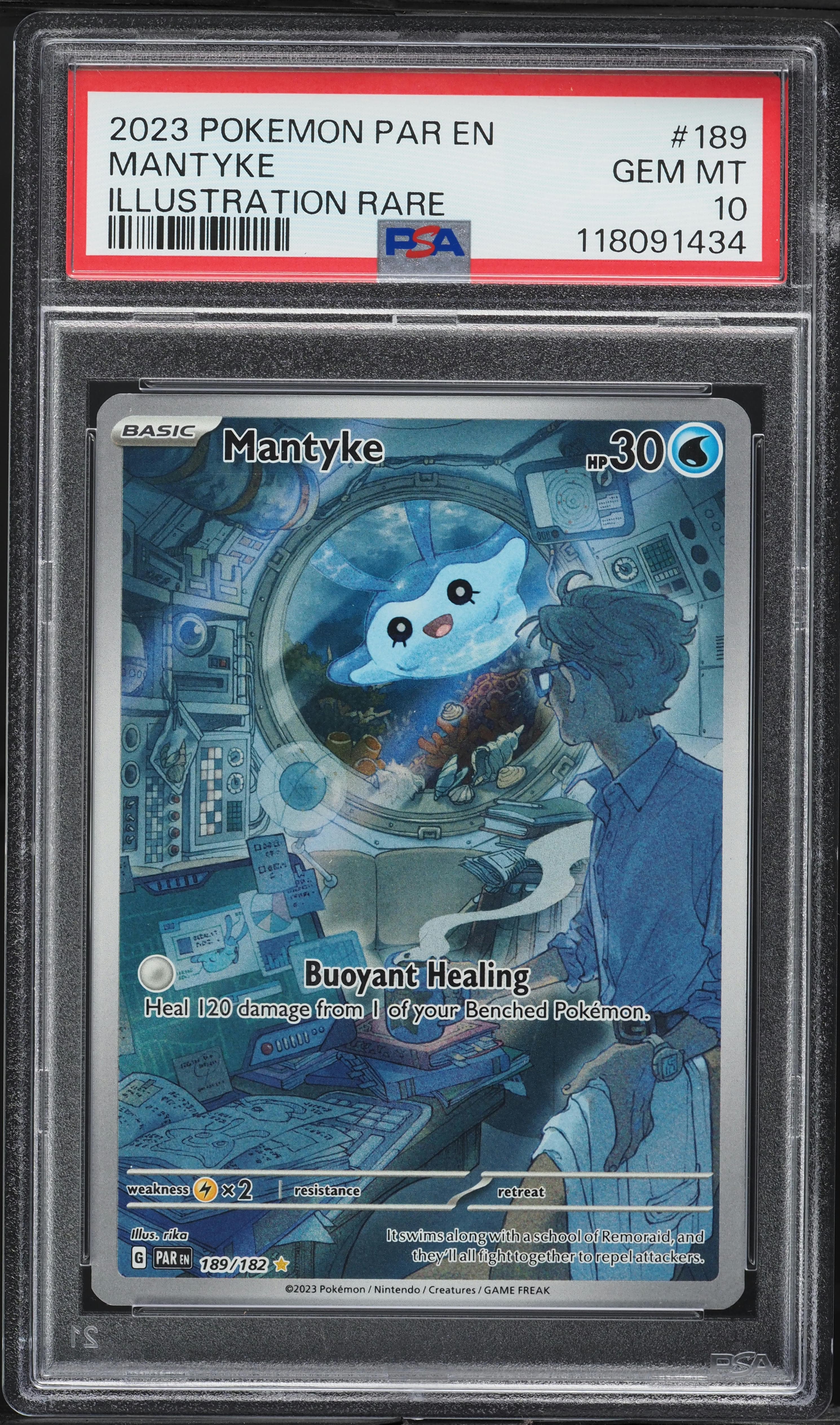 Mantyke