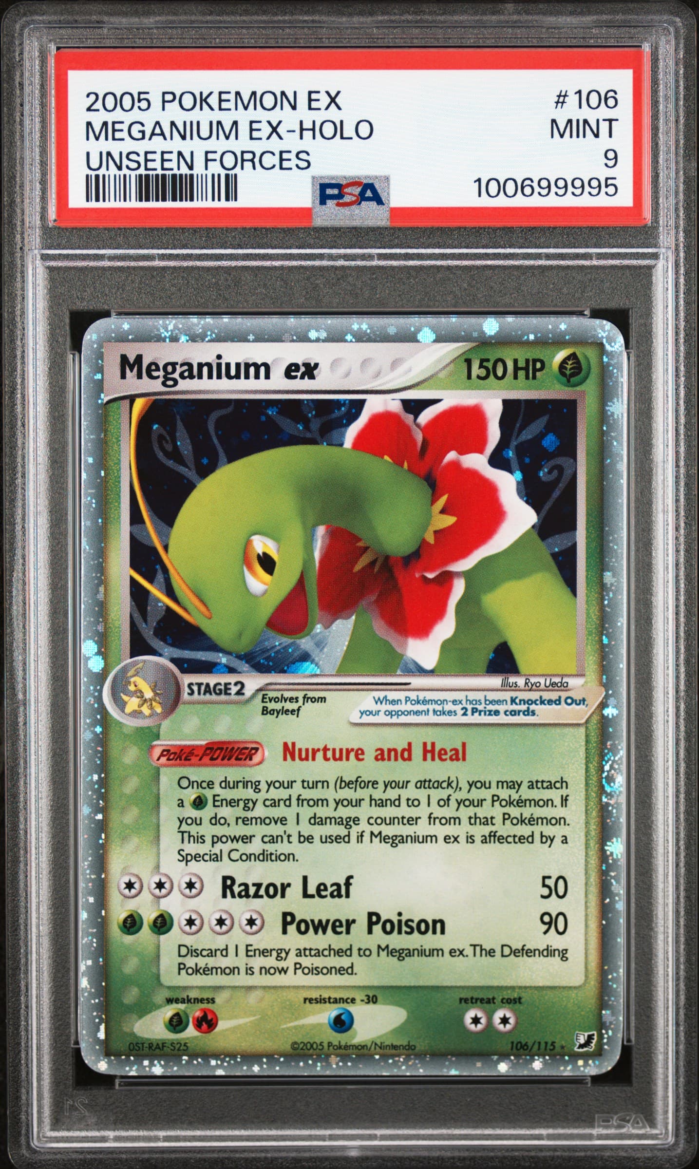 Meganium EX-Holo