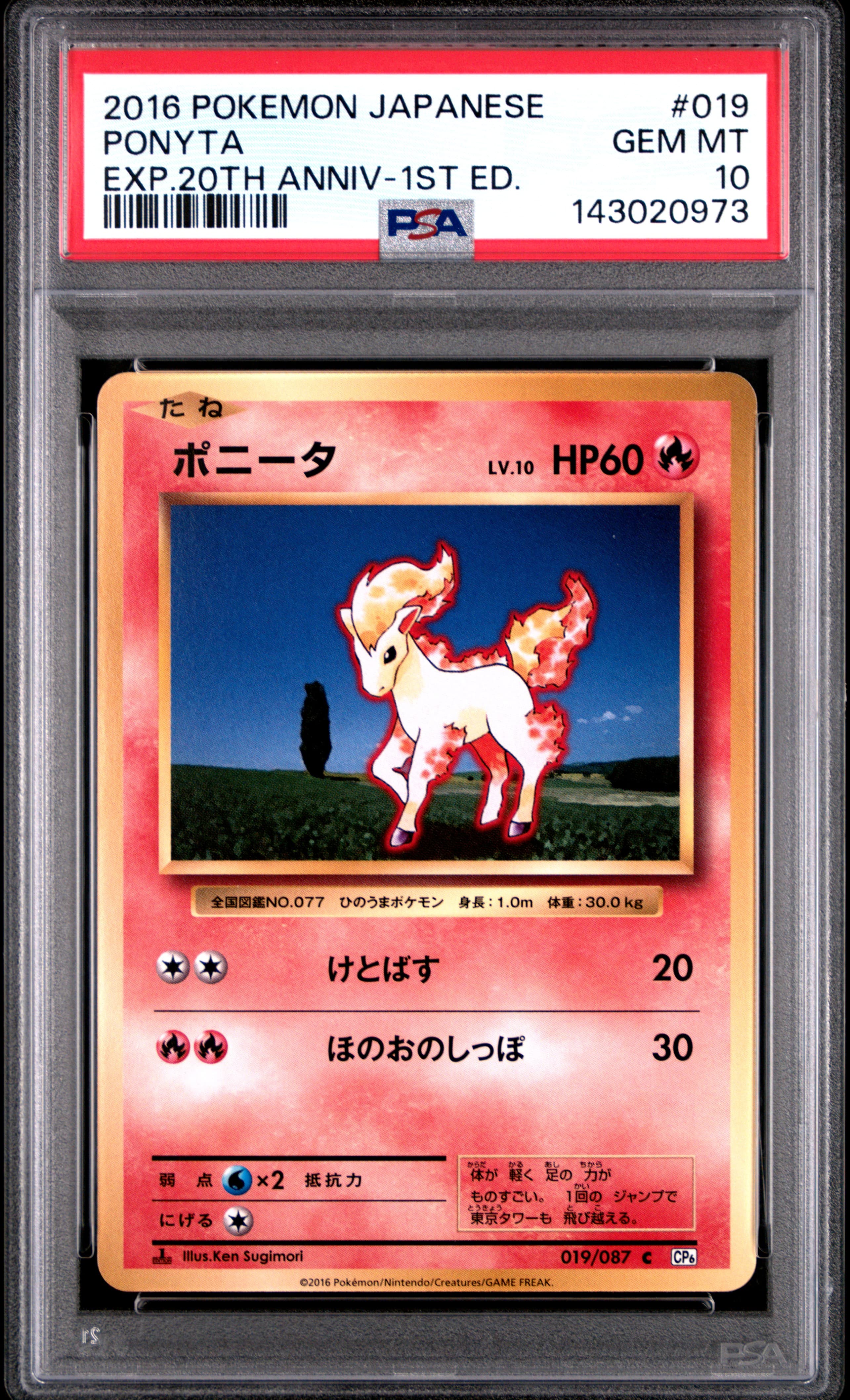 Ponyta 1st Edition