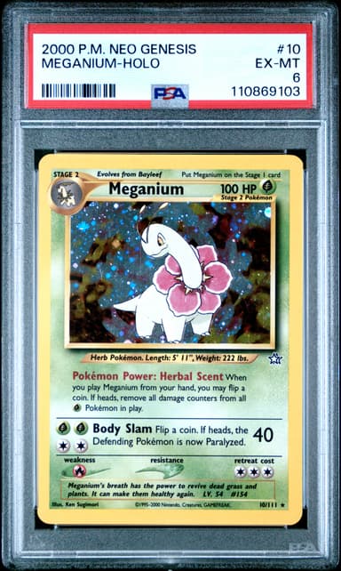 Meganium-Holo