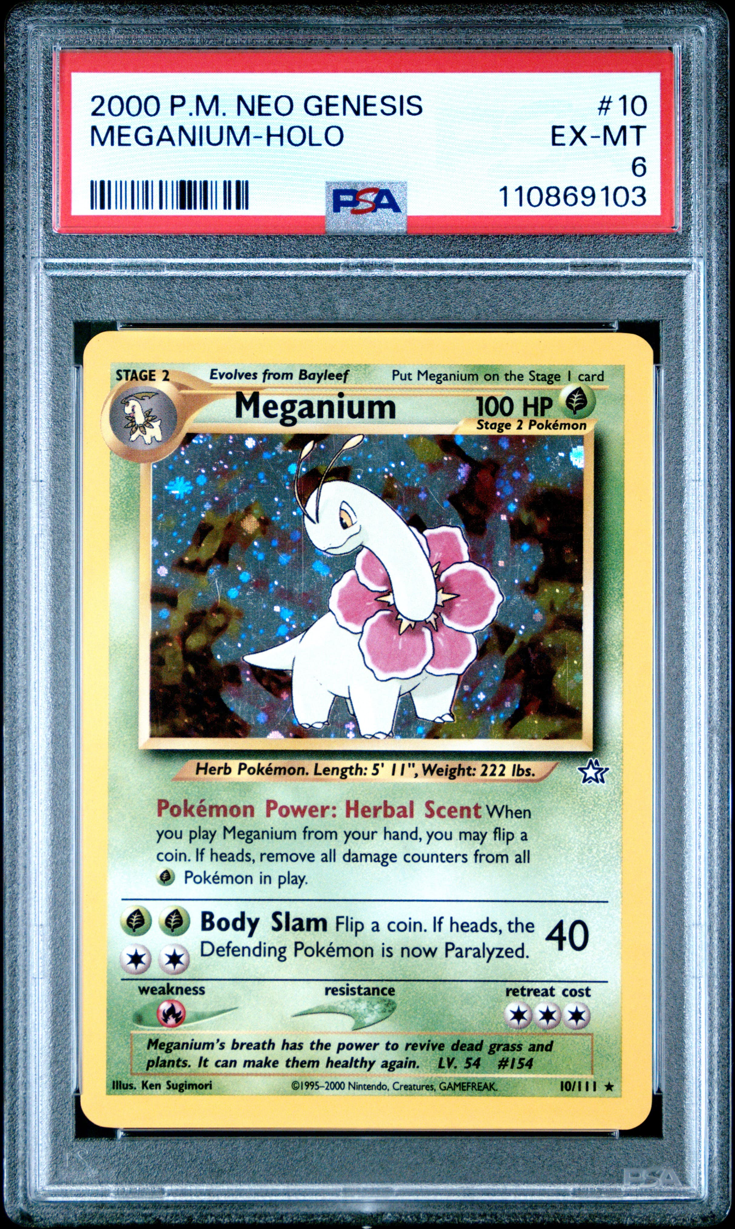 Meganium-Holo