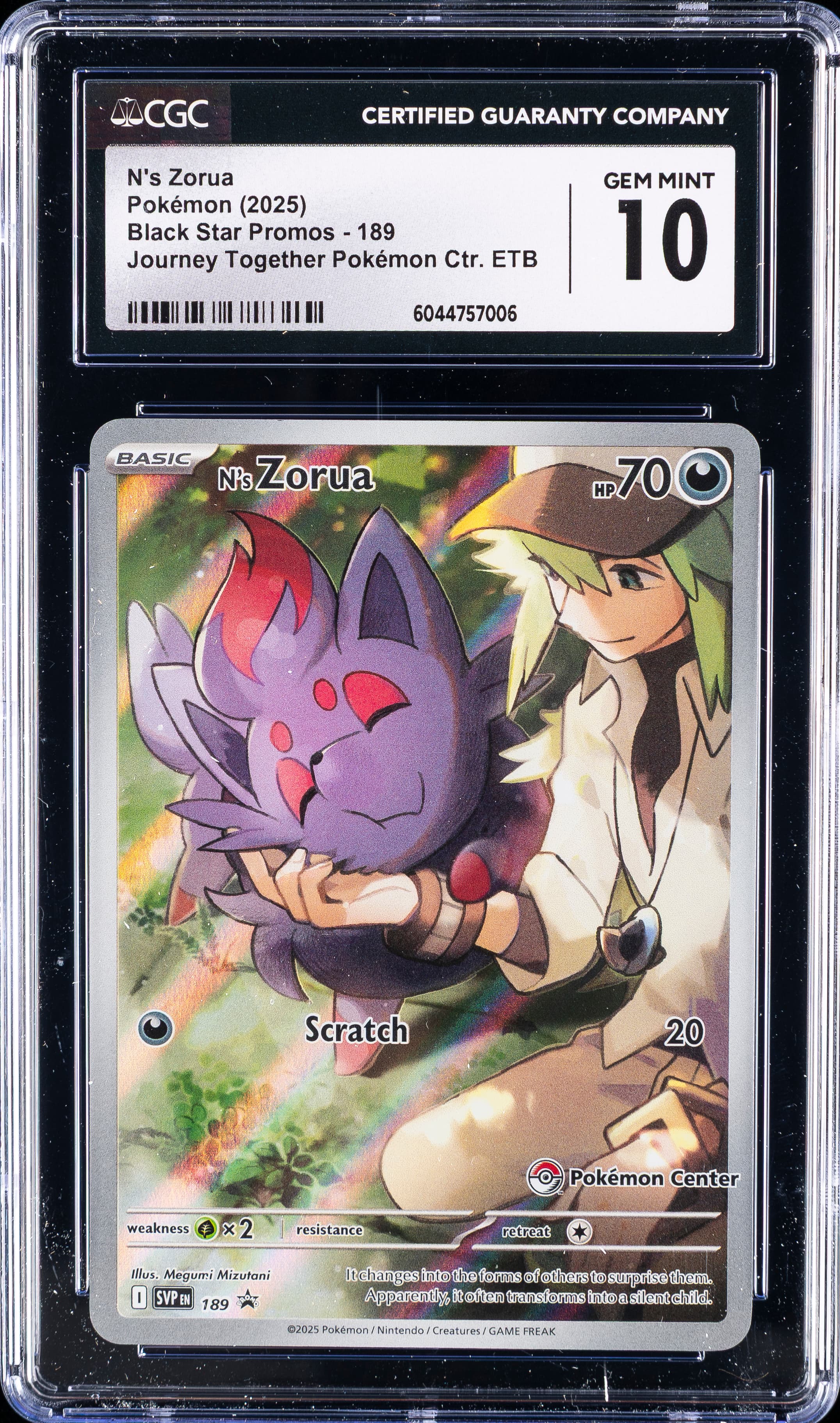 N's Zorua