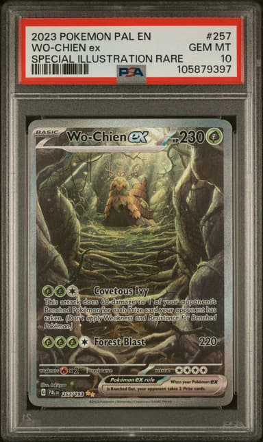 WO-Chien EX