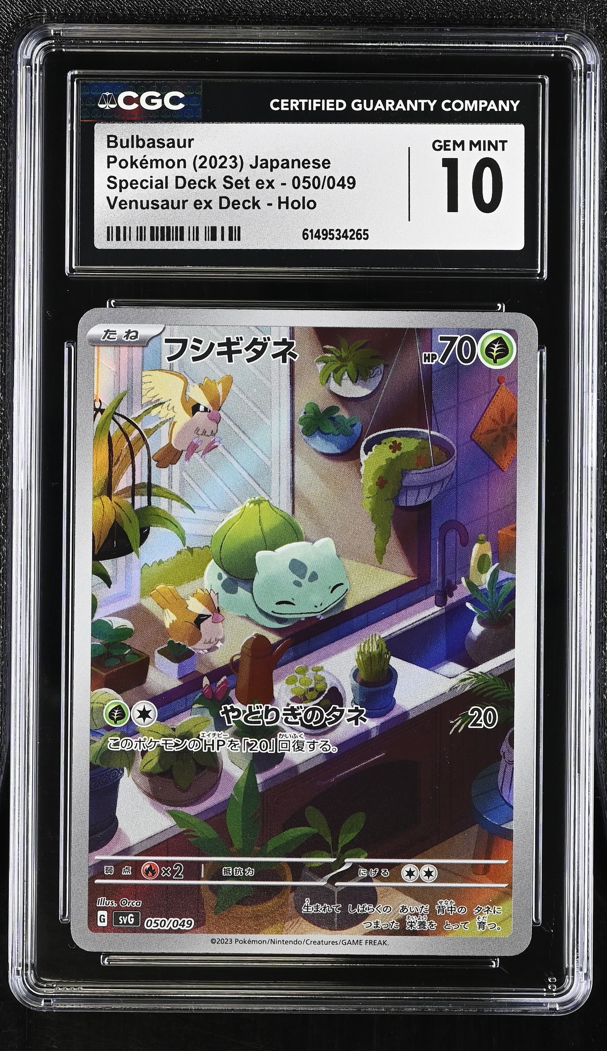 Bulbasaur