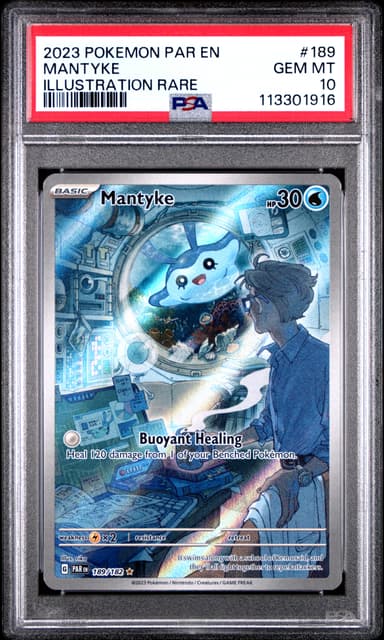 Mantyke