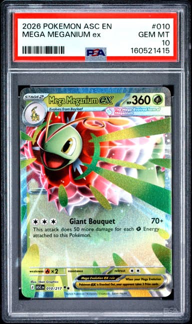 Mega Meganium EX