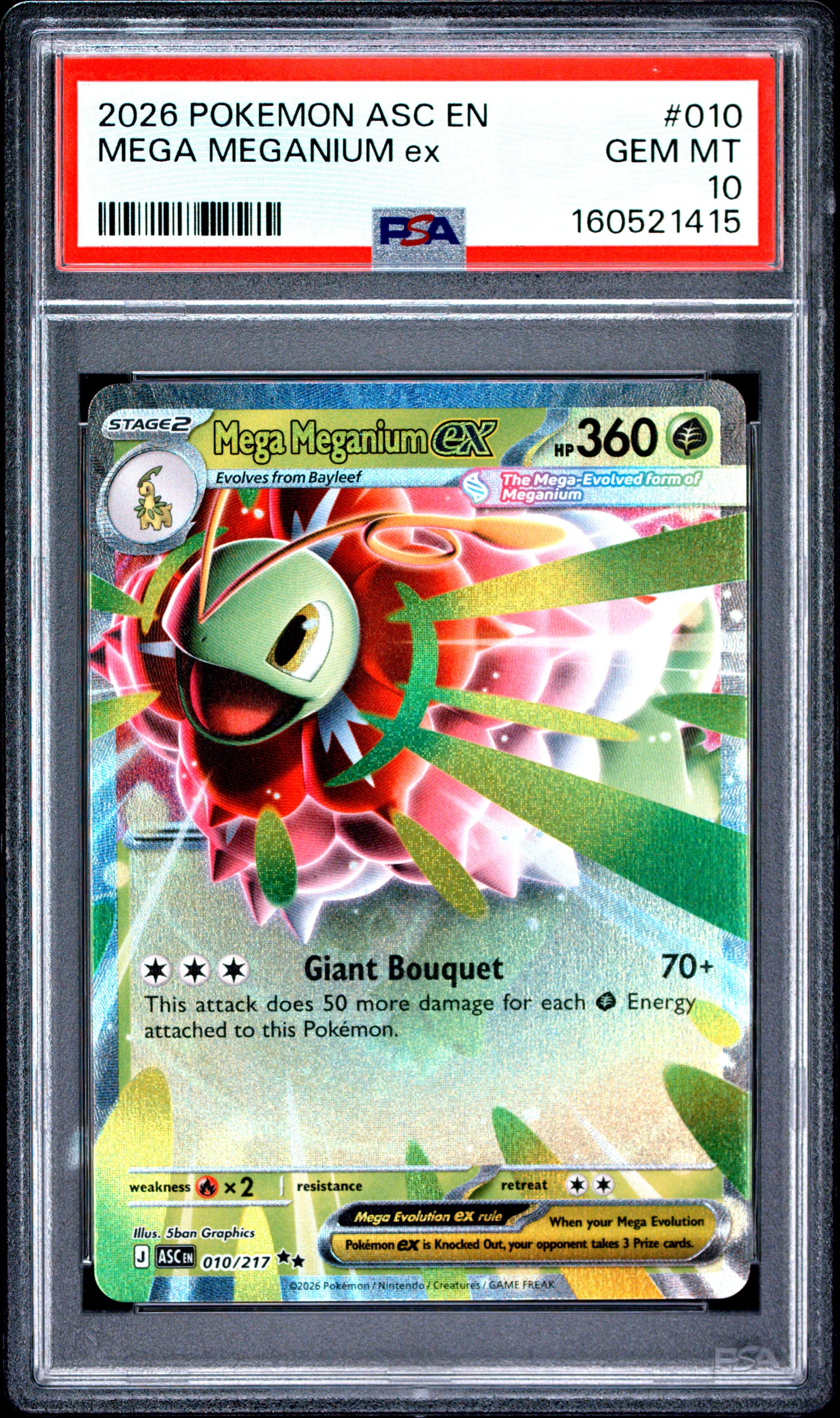 Mega Meganium EX
