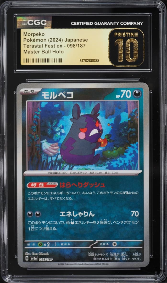 Pokemon Japanese SV Terastal Fest Ex Master Ball Holo Morpeko #98