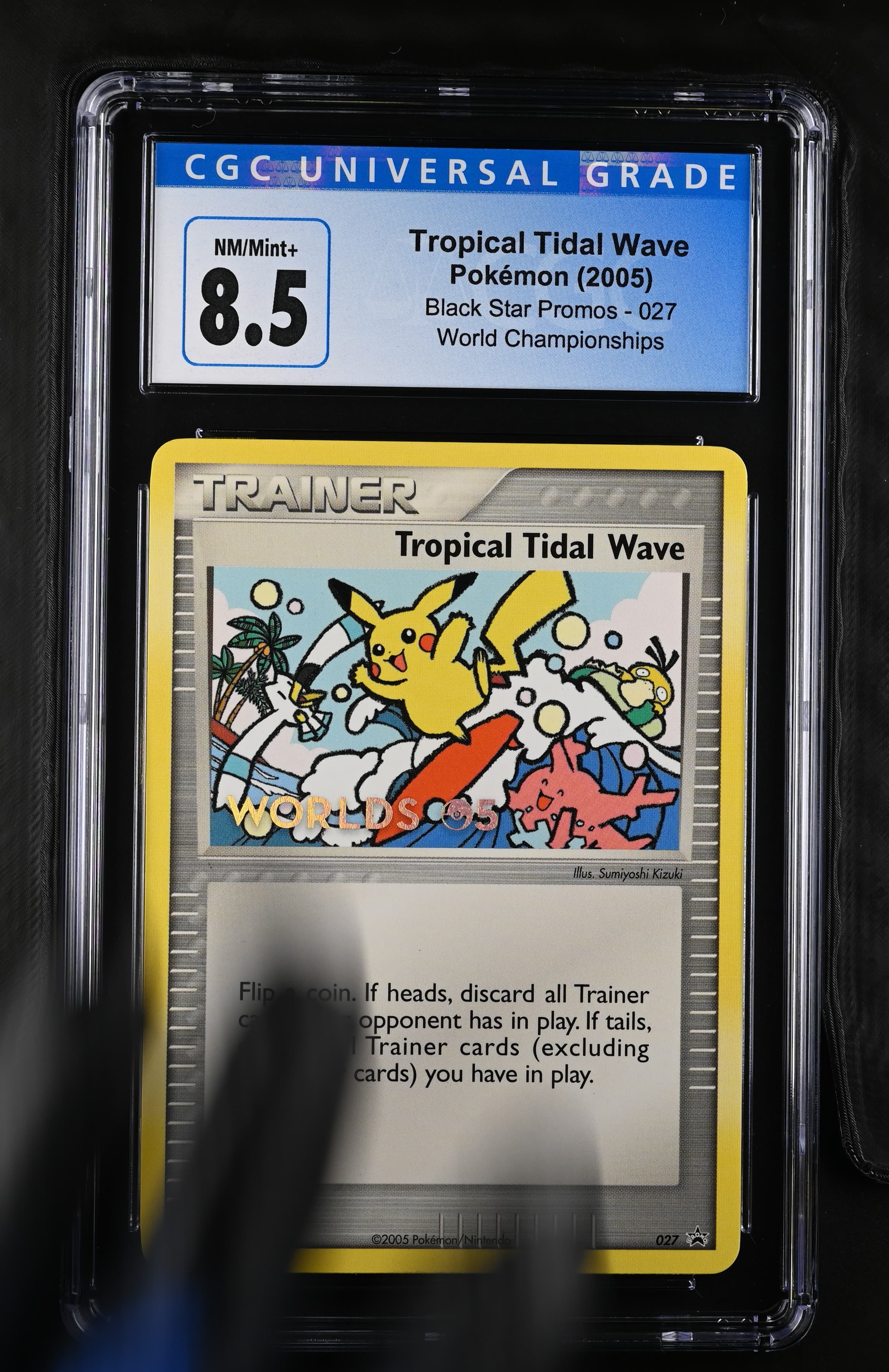 Tropical Tidal Wave
