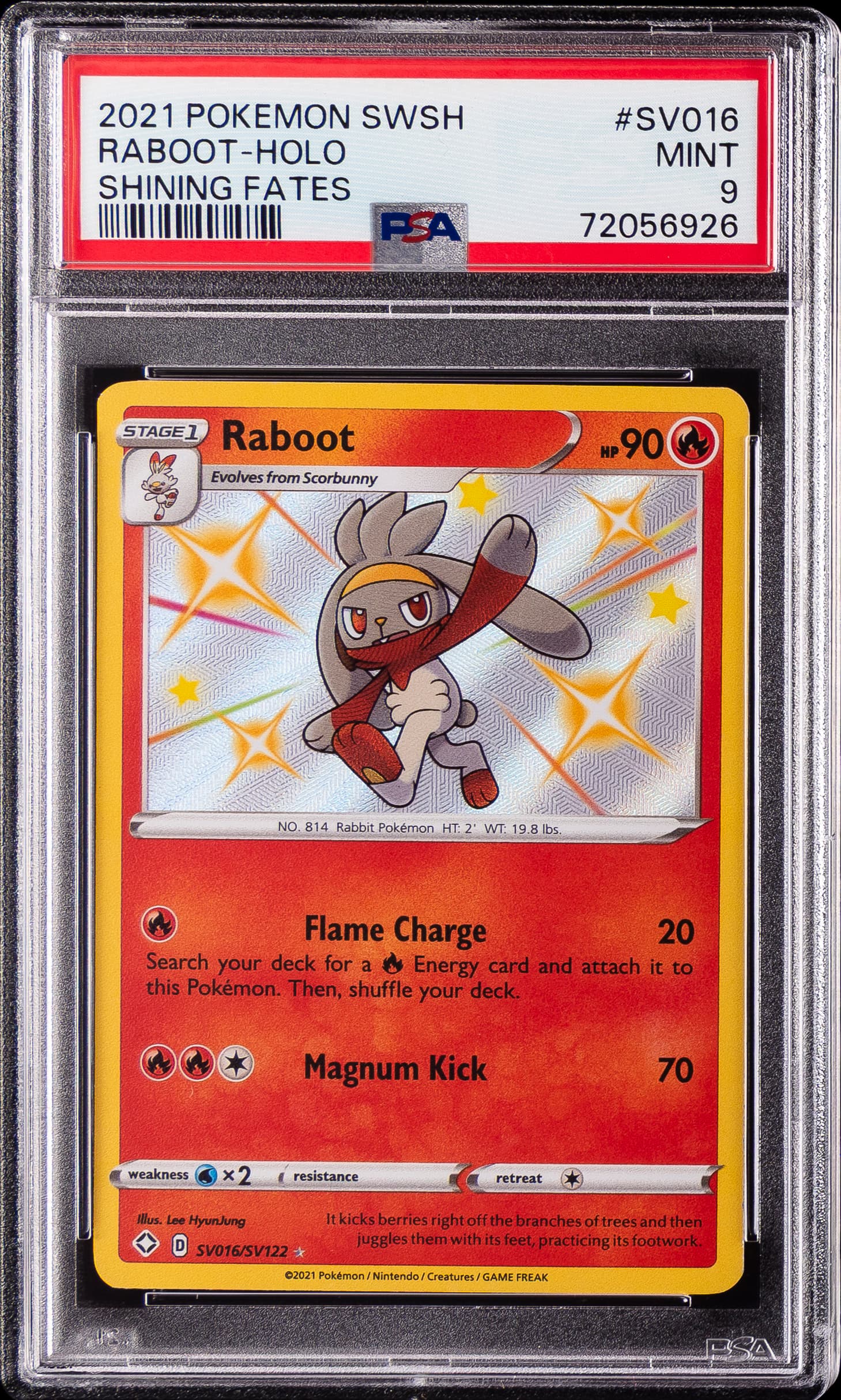 Raboot-Holo