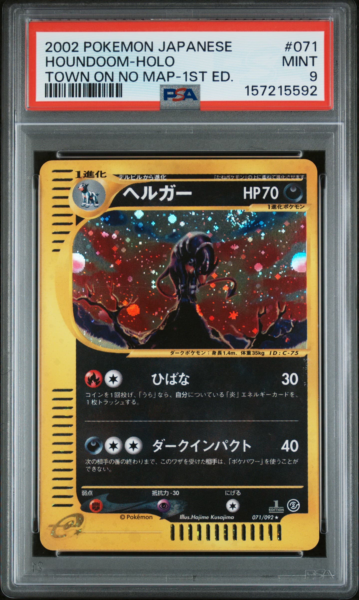 Houndoom-Holo 1st Edition
