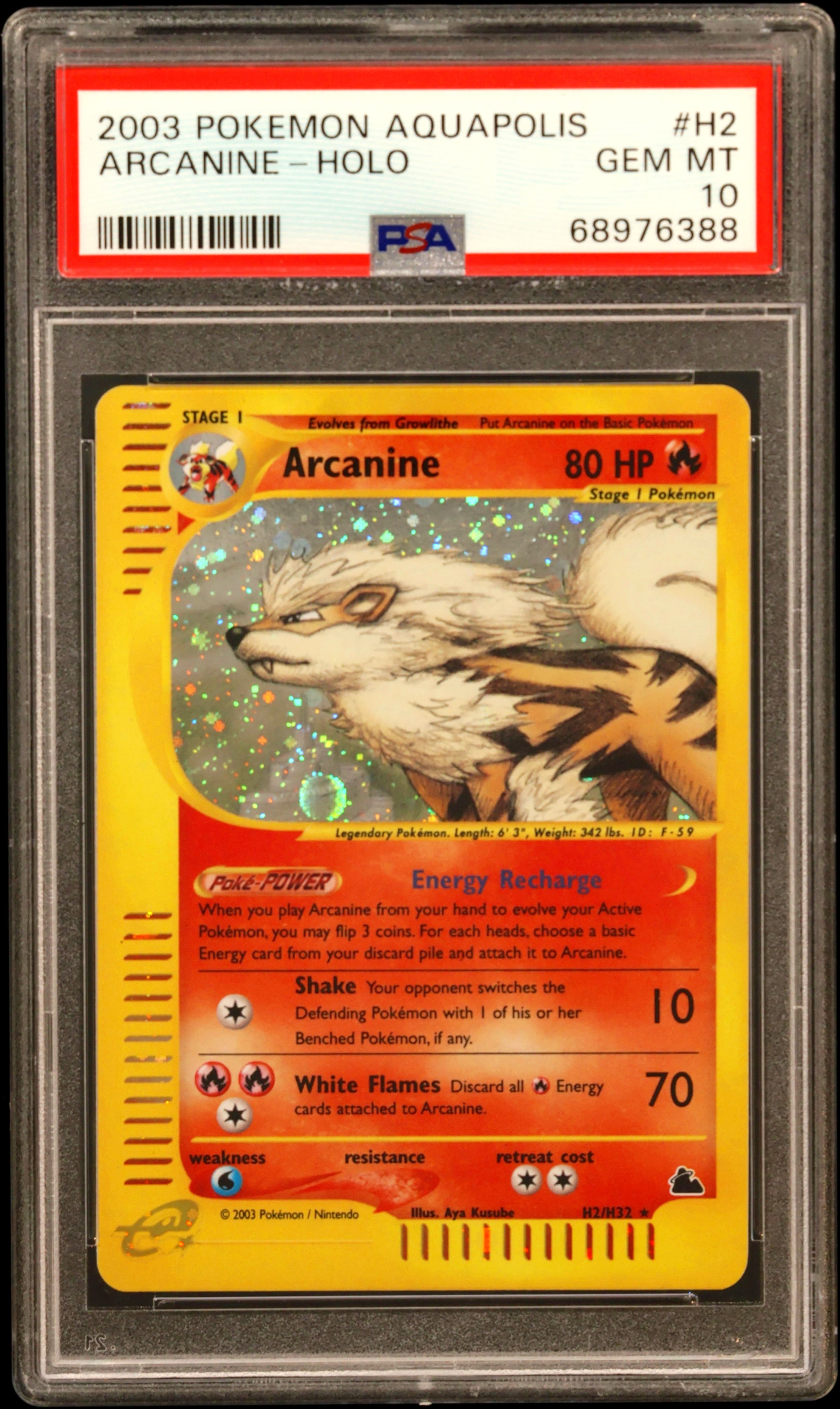 Arcanine-Holo