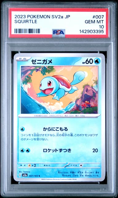 Squirtle