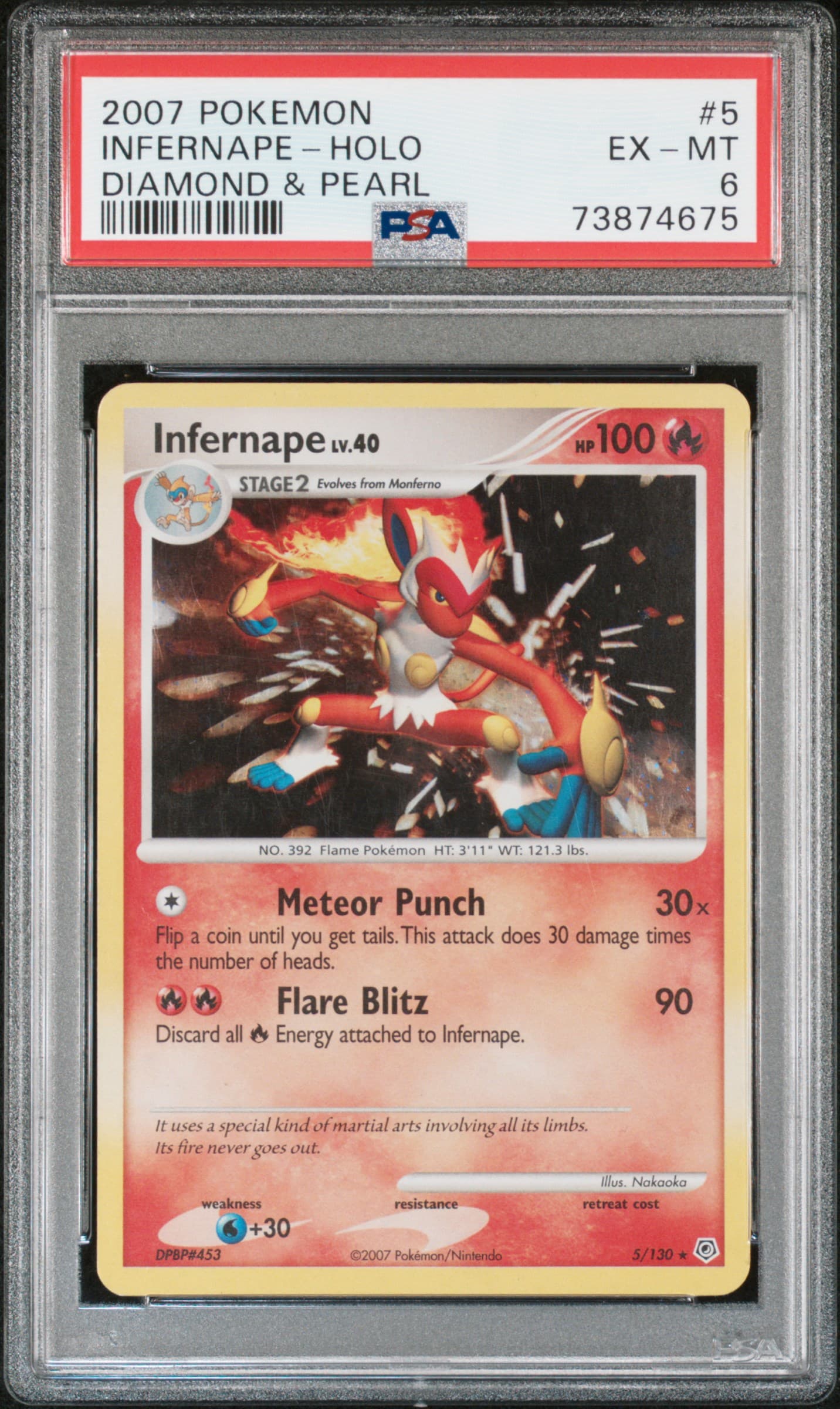 INFERNAPE-HOLO