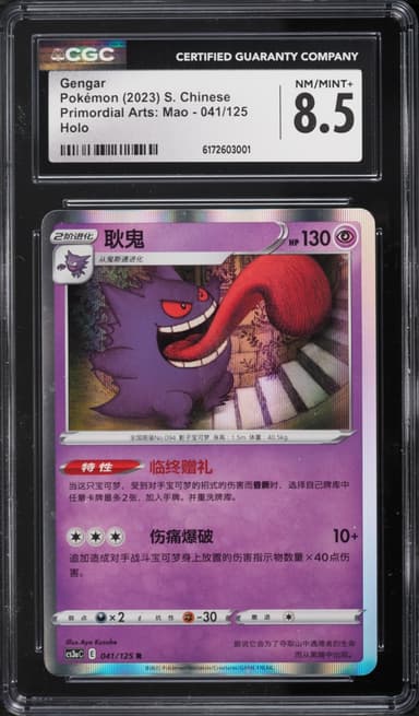 Pokemon Chinese SWSH Primordial Arts Mao Holo Gengar #41