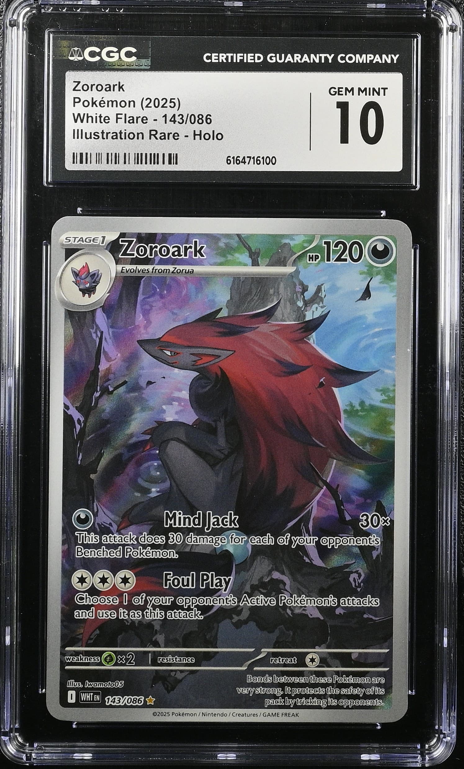 Zoroark