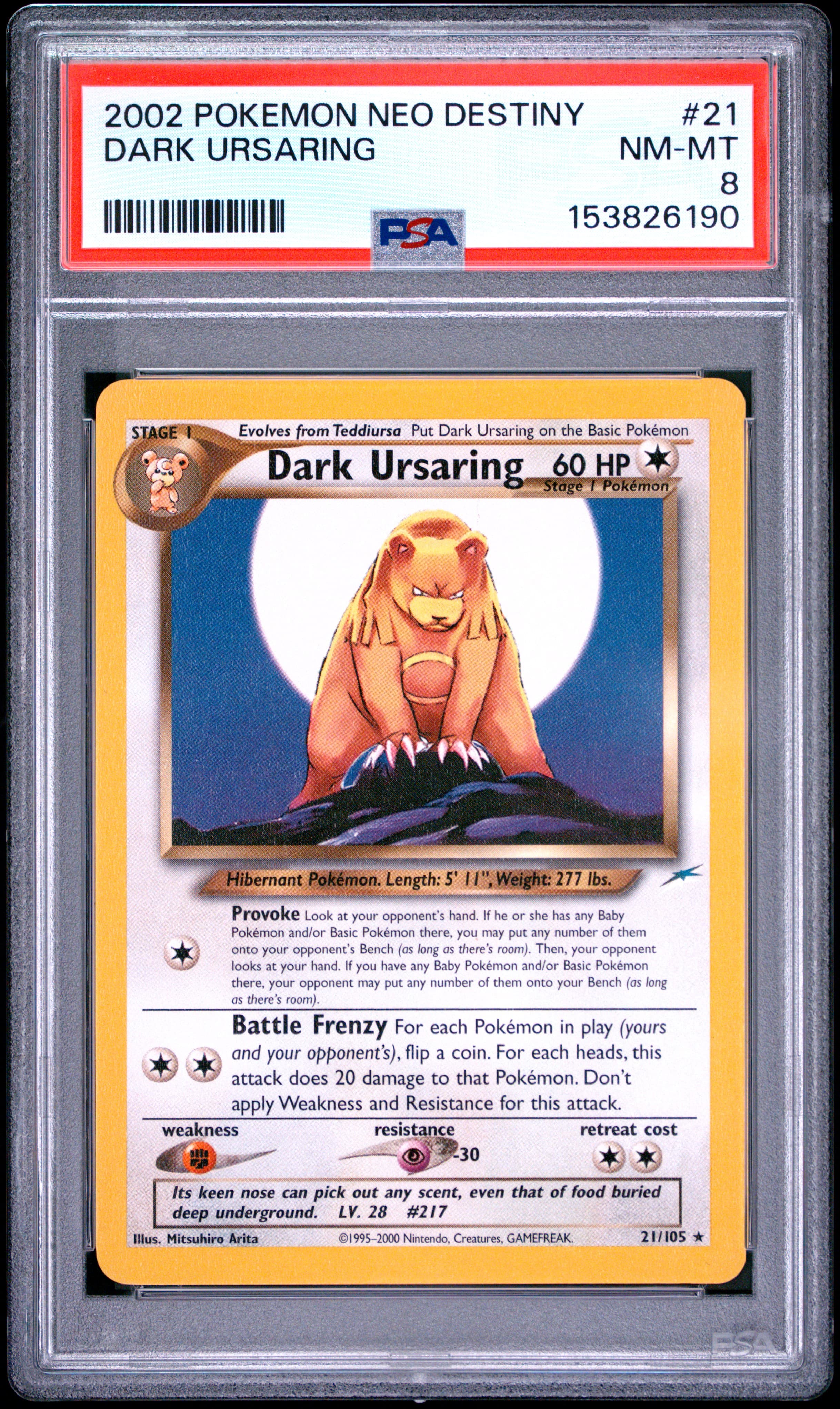 Dark Ursaring
