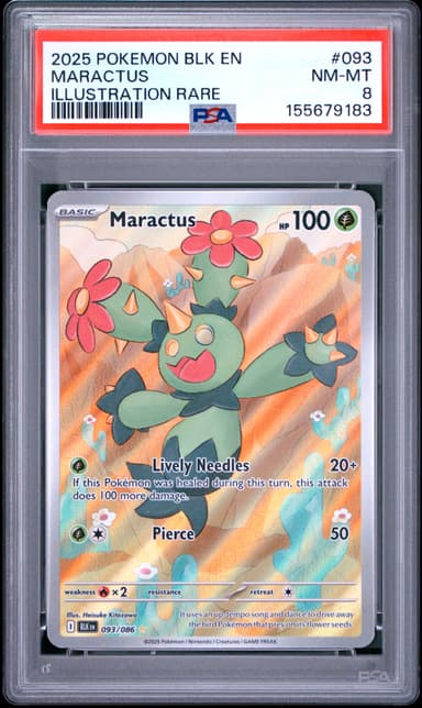 Maractus