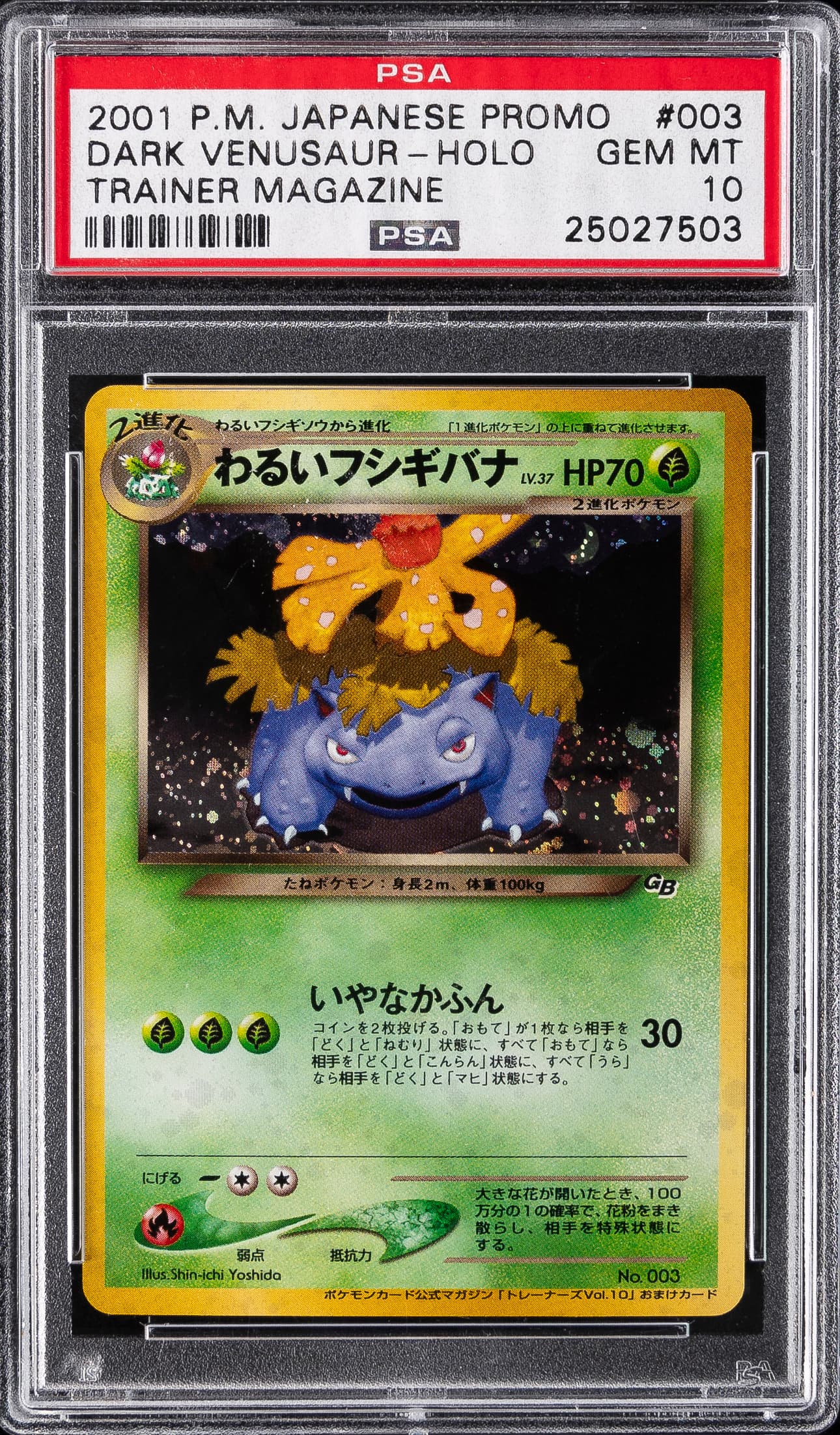 Dark Venusaur-Holo