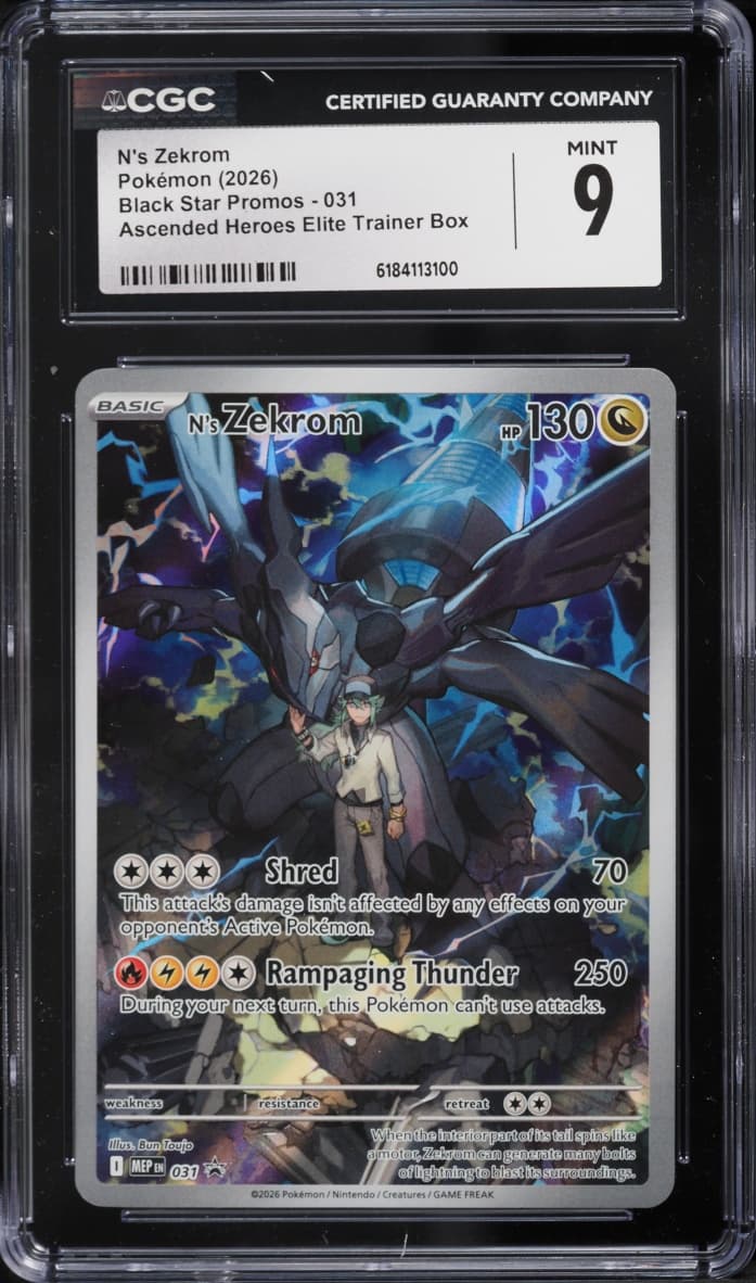N's Zekrom