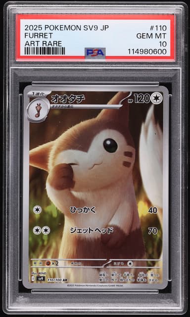 Furret