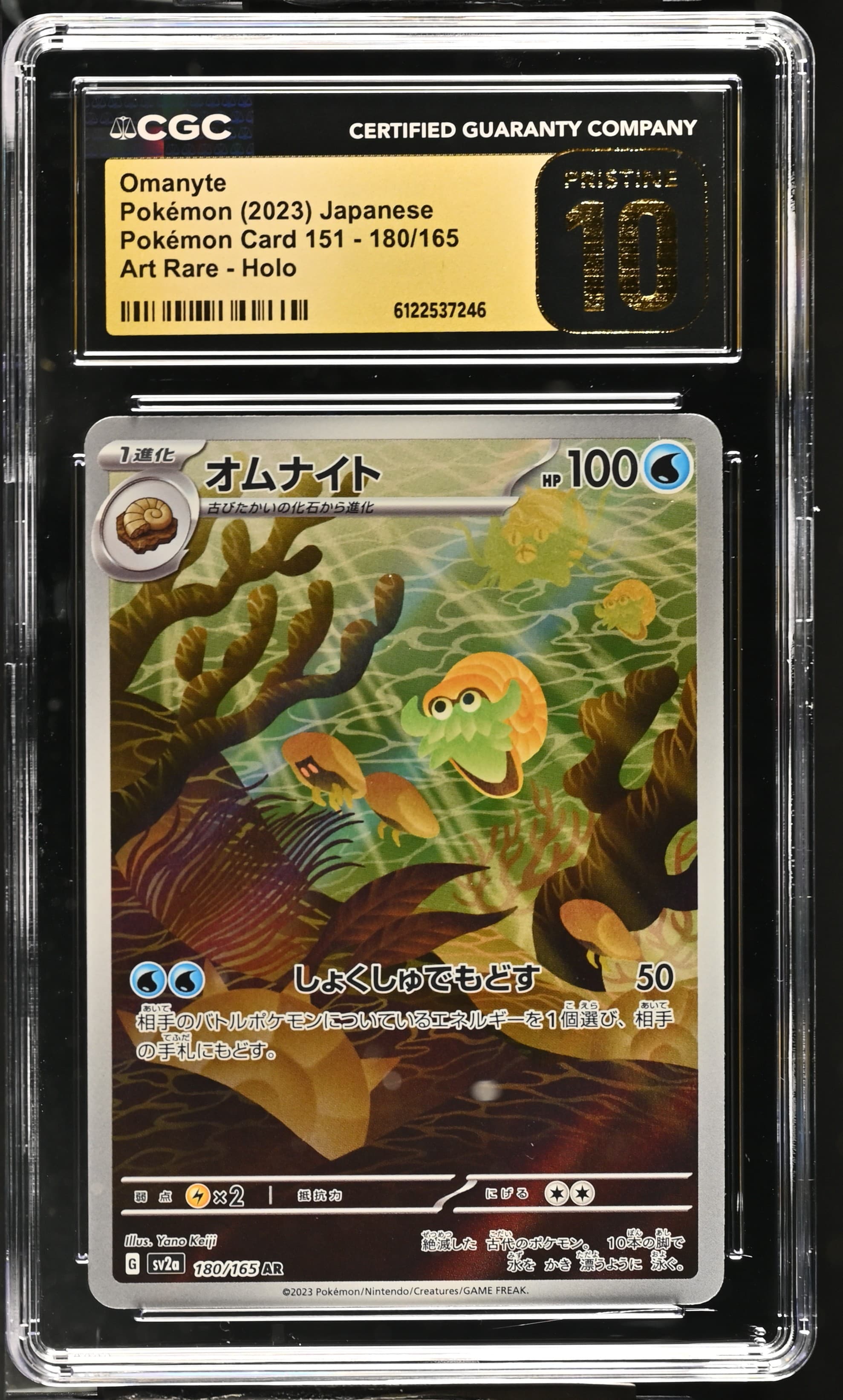 Omanyte