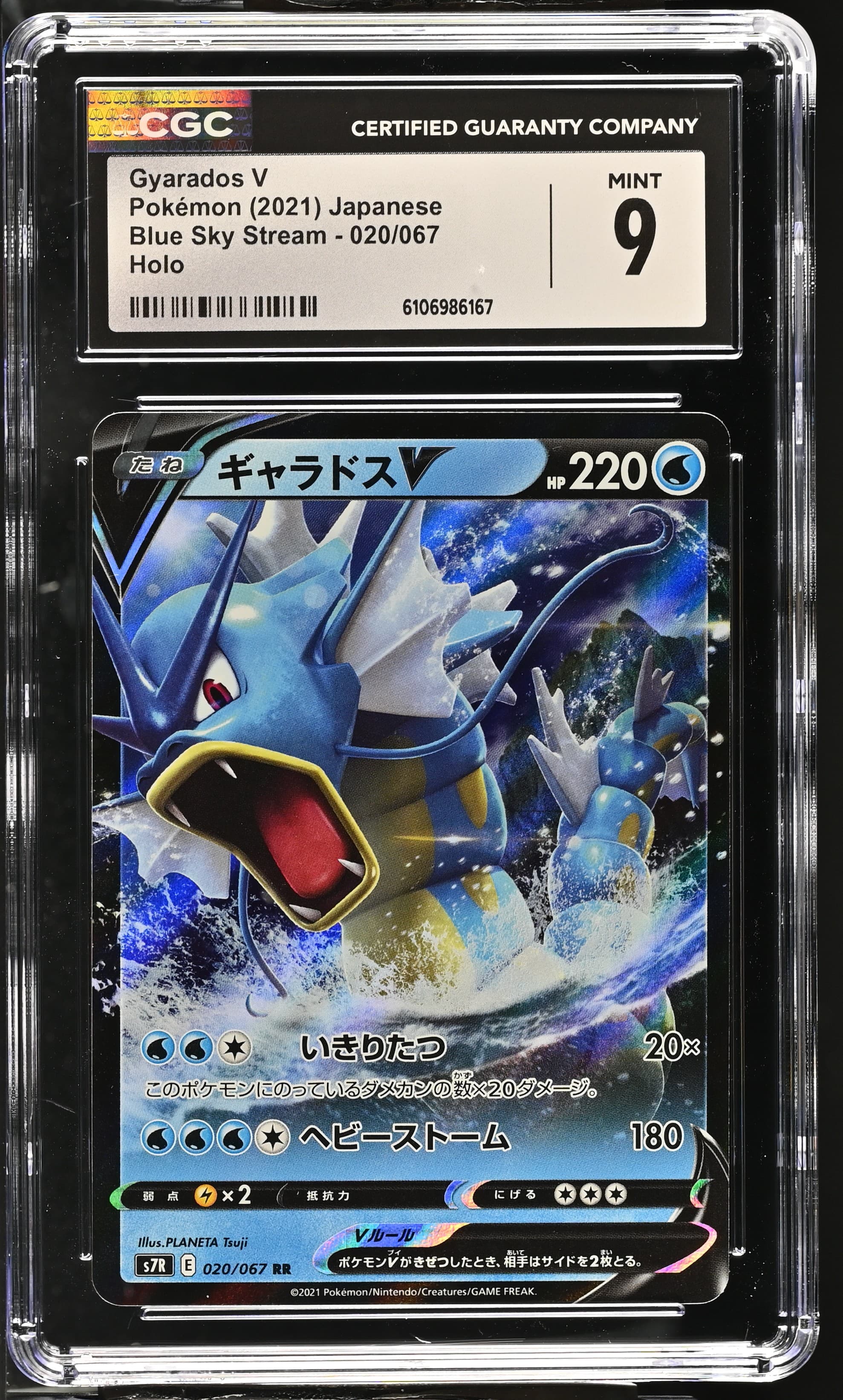 Gyarados V