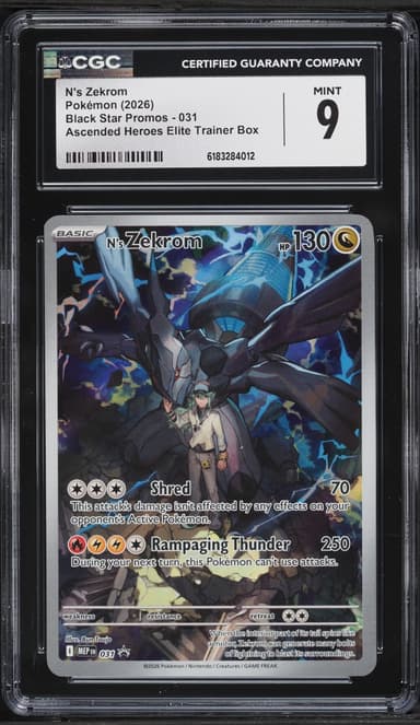 N's Zekrom