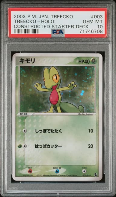 Treecko-Holo