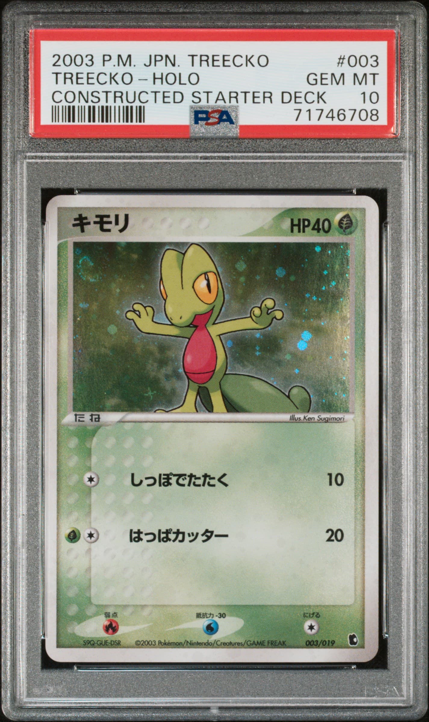 Treecko-Holo