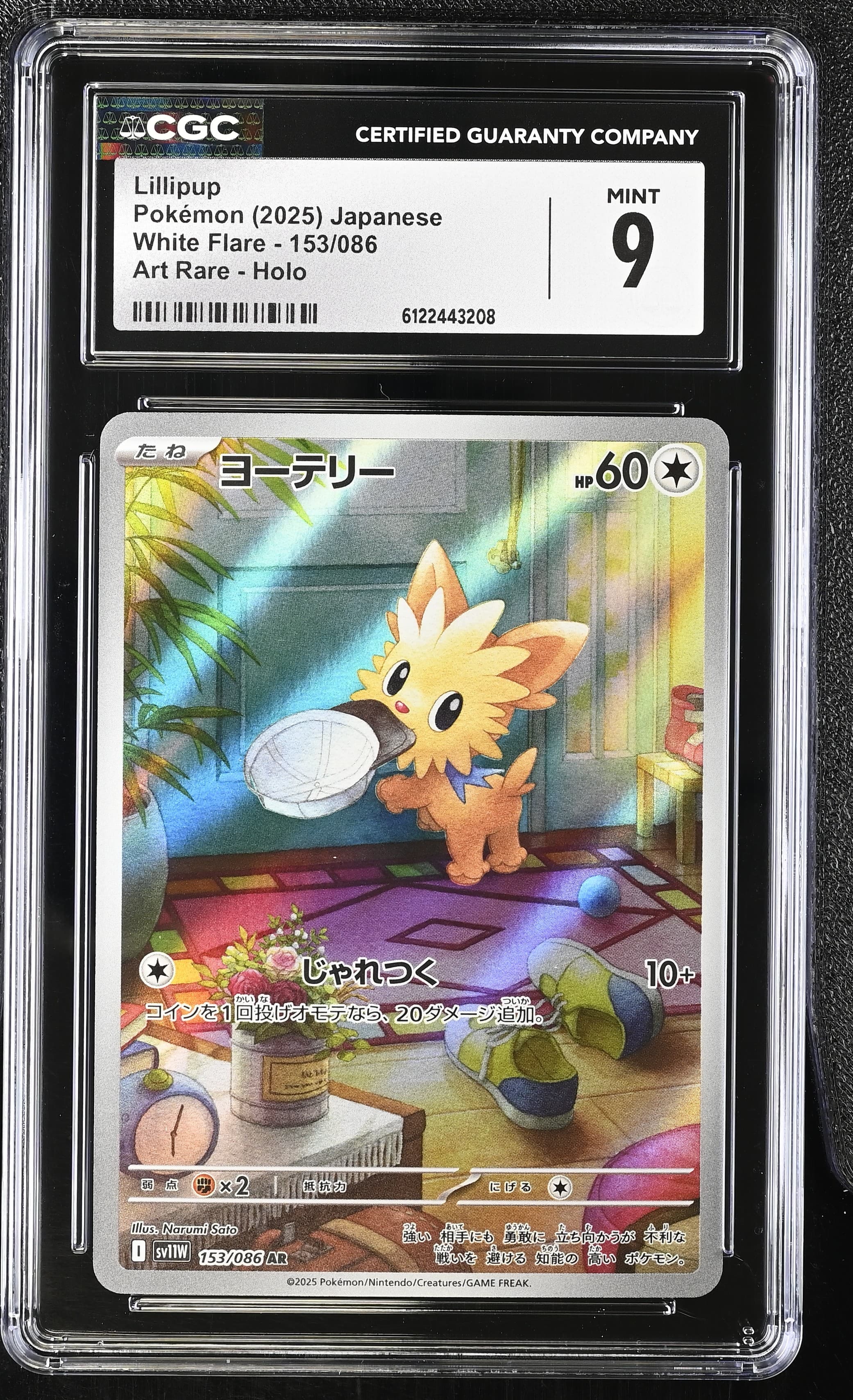 Lillipup