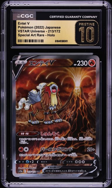 Pokemon Japanese Sword & Shield VSTAR Universe SAR Entei V #213