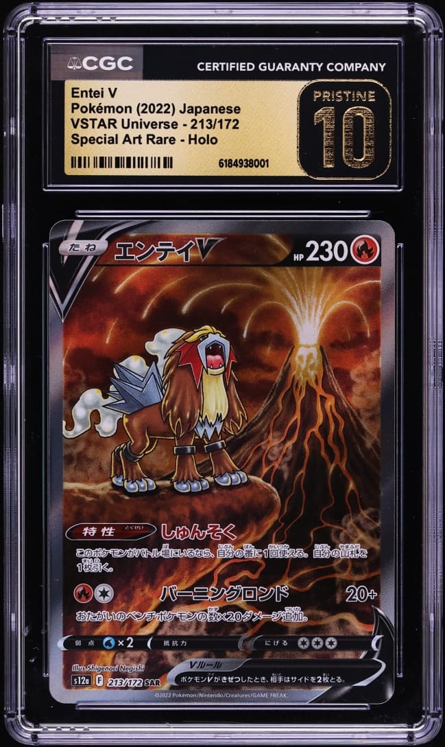 Pokemon Japanese Sword & Shield VSTAR Universe SAR Entei V #213