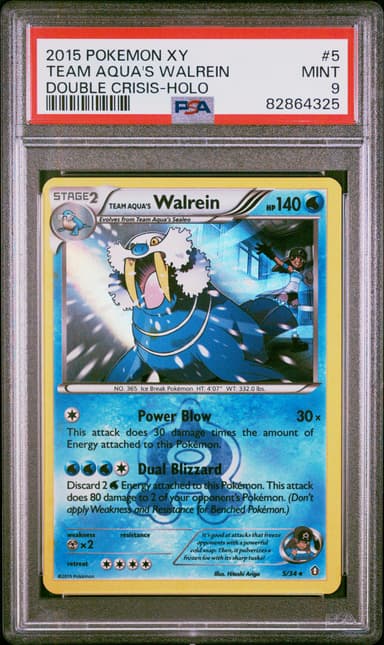Team Aqua's Walrein-Holo