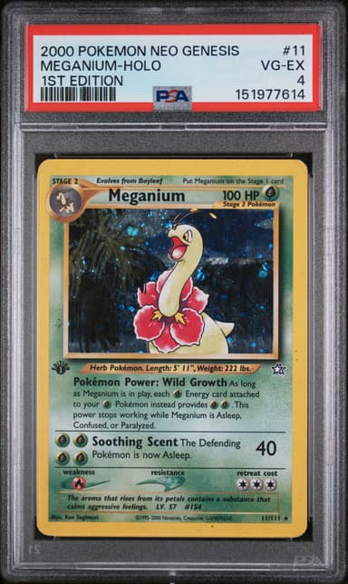 Meganium-Holo