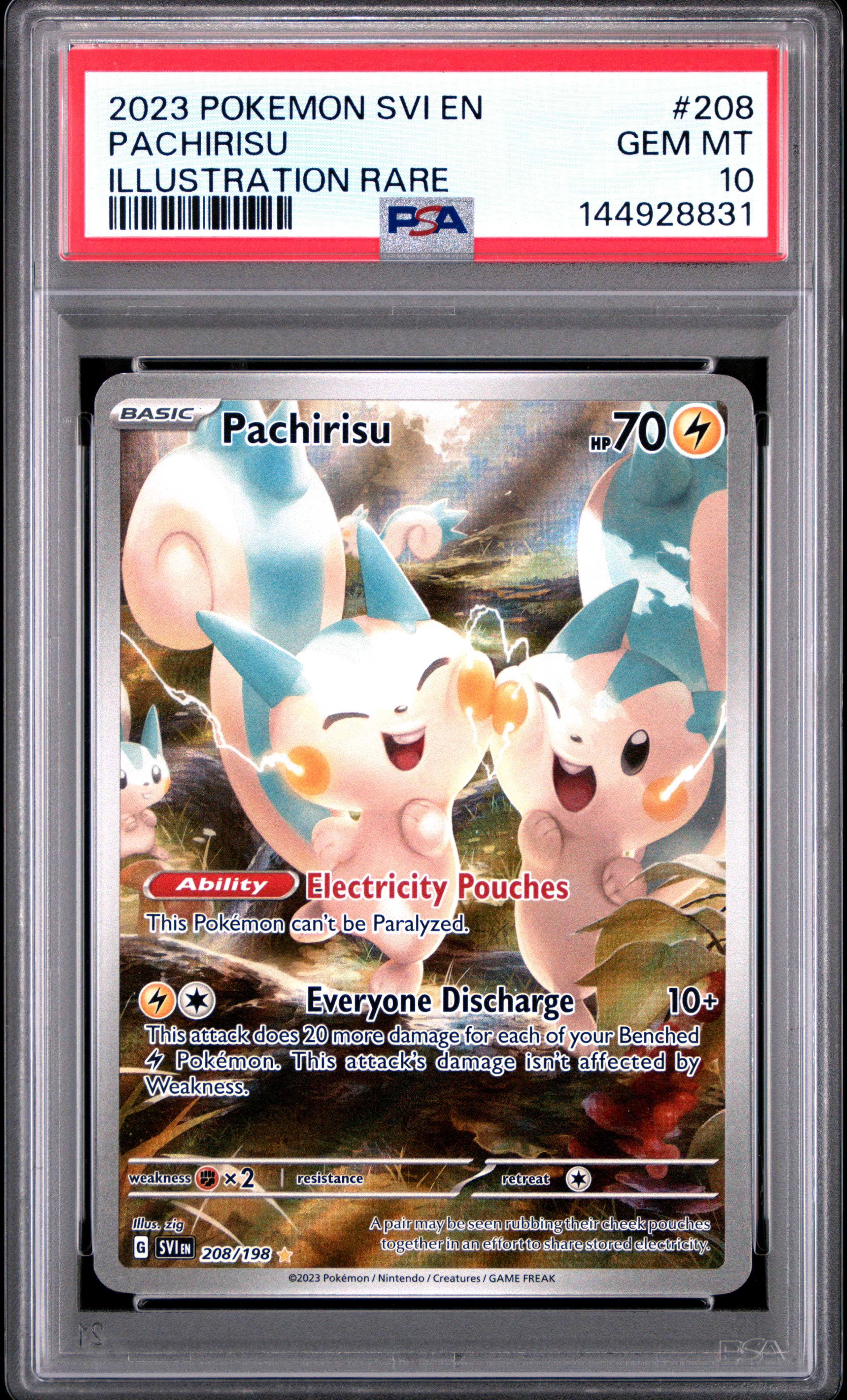 Pachirisu