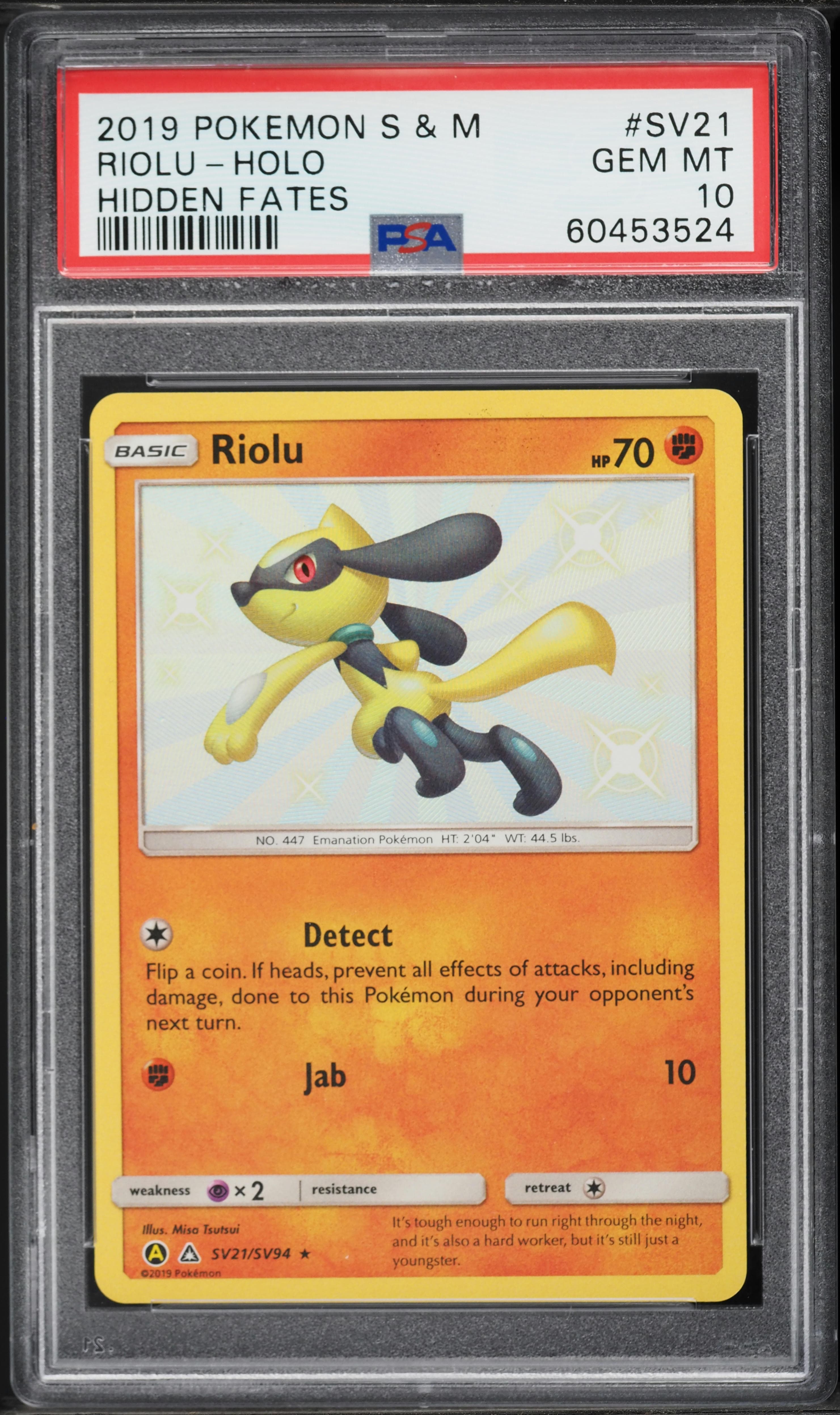 Riolu-Holo
