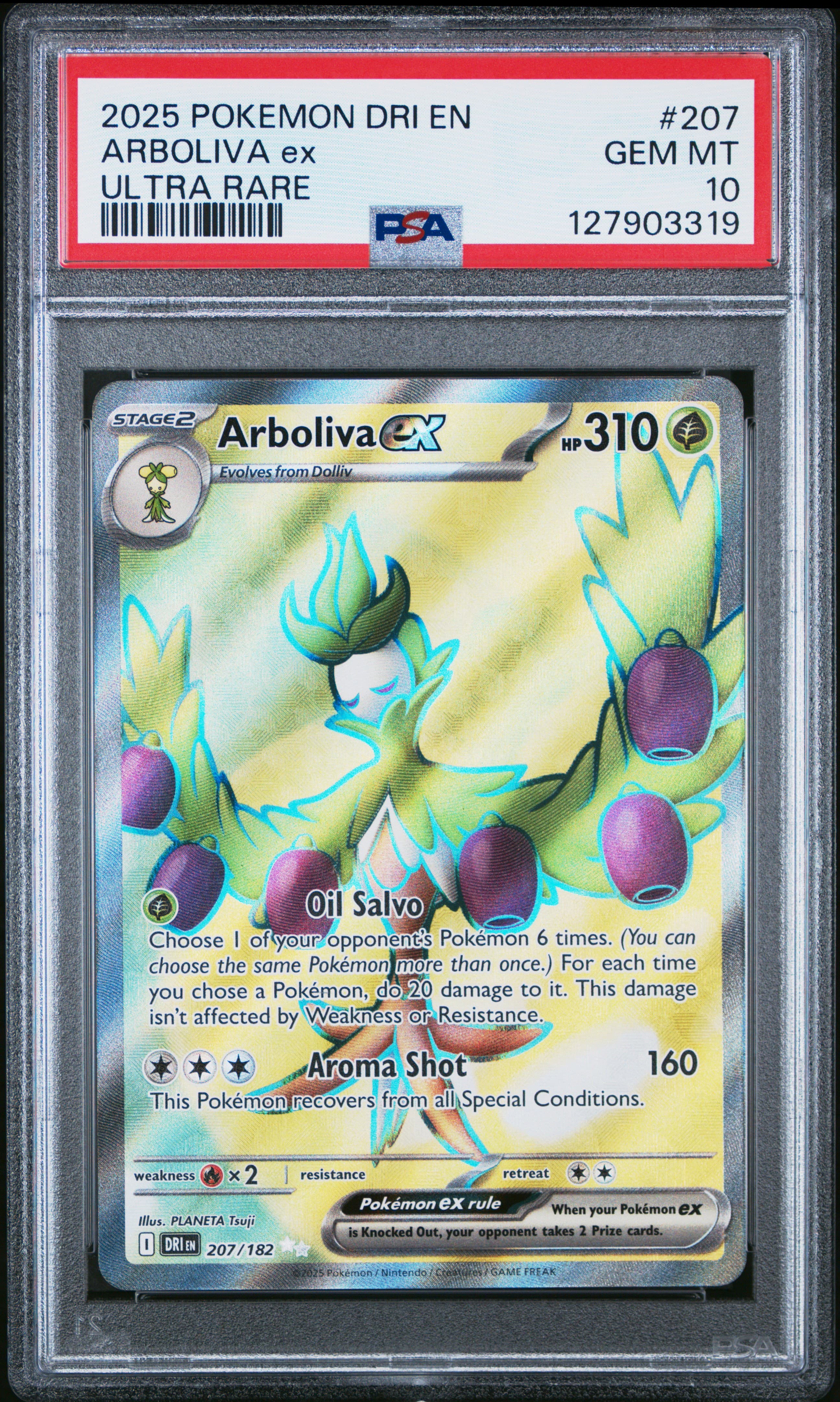 Arboliva EX