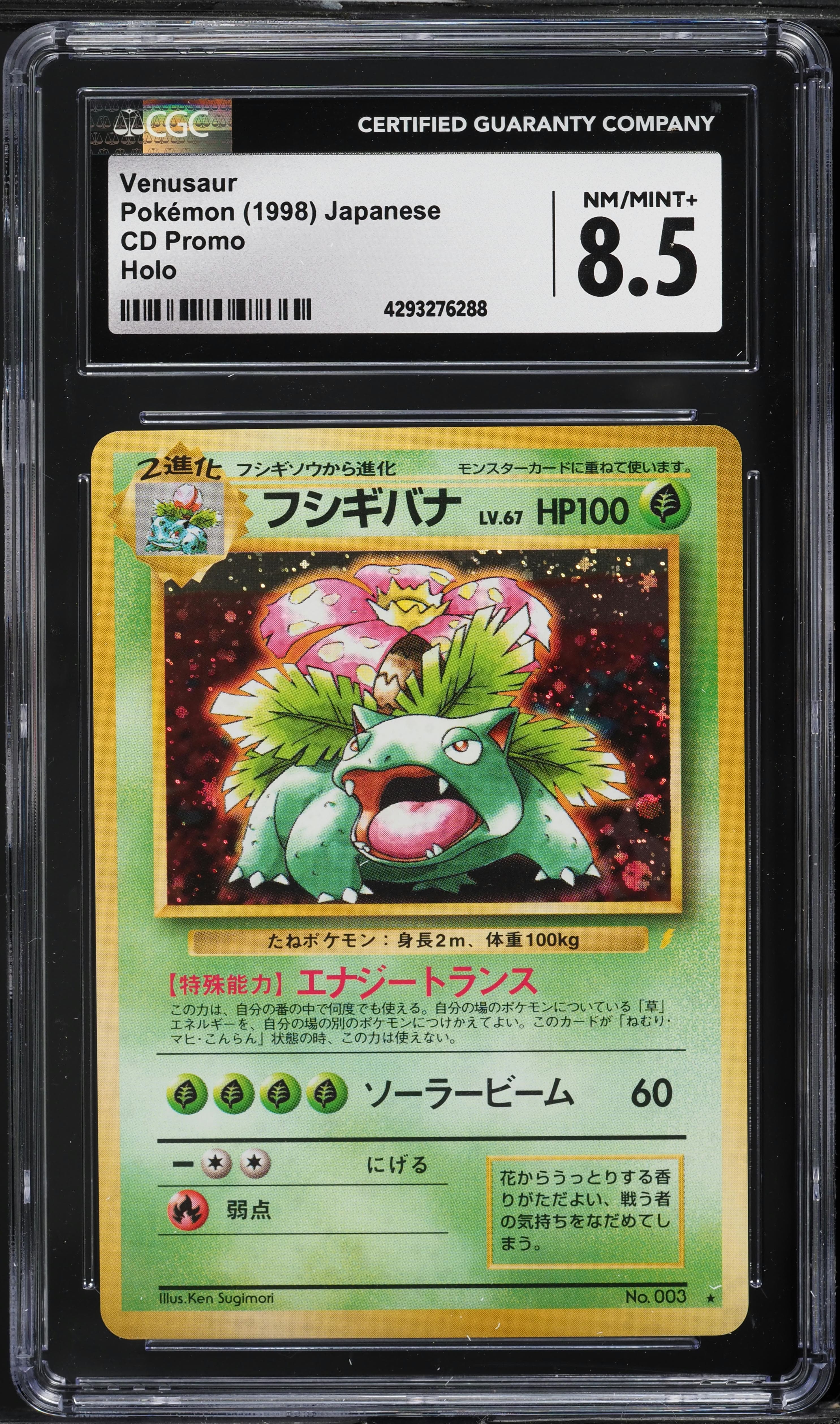 Venusaur-Holo