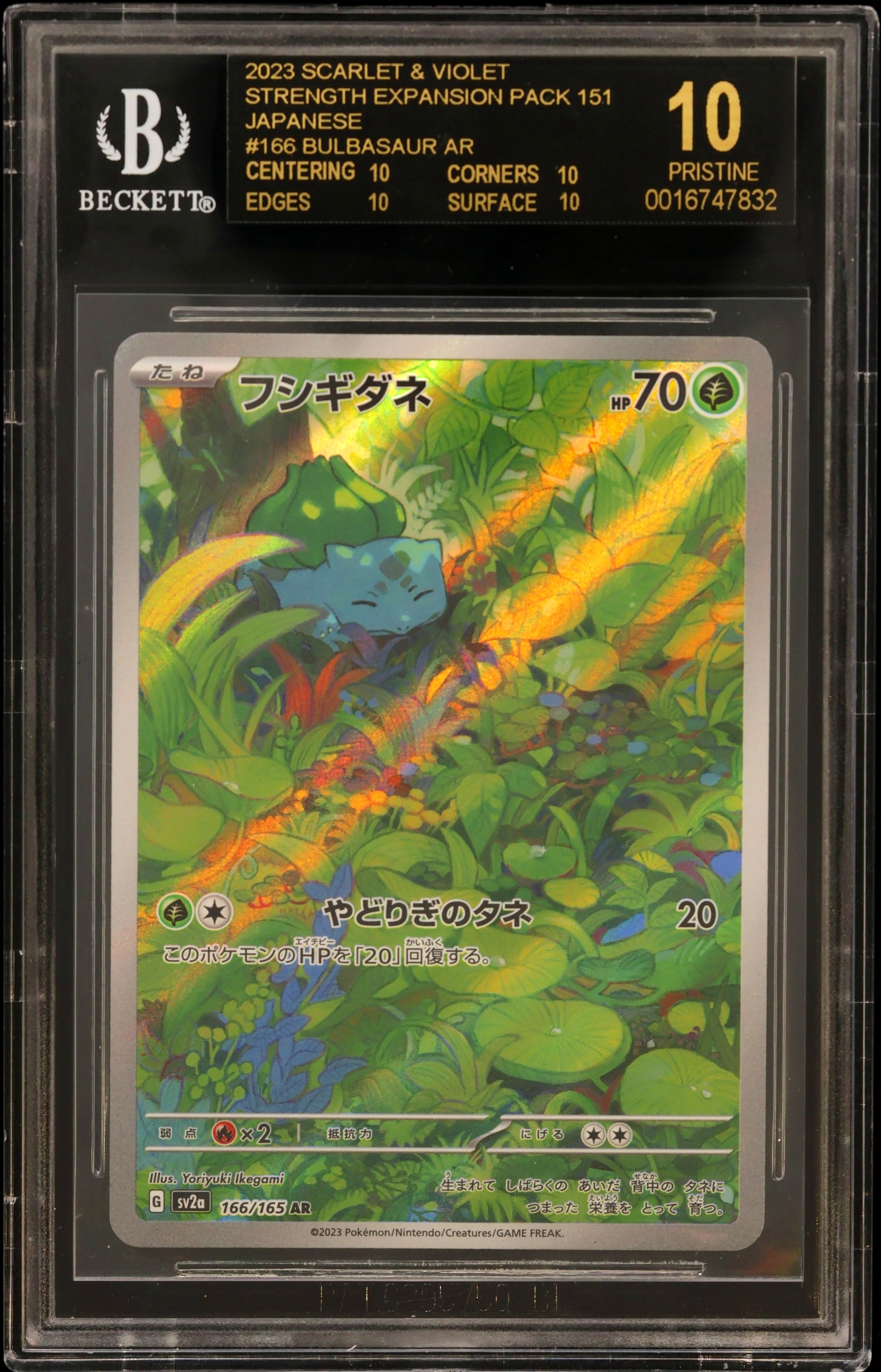Bulbasaur AR