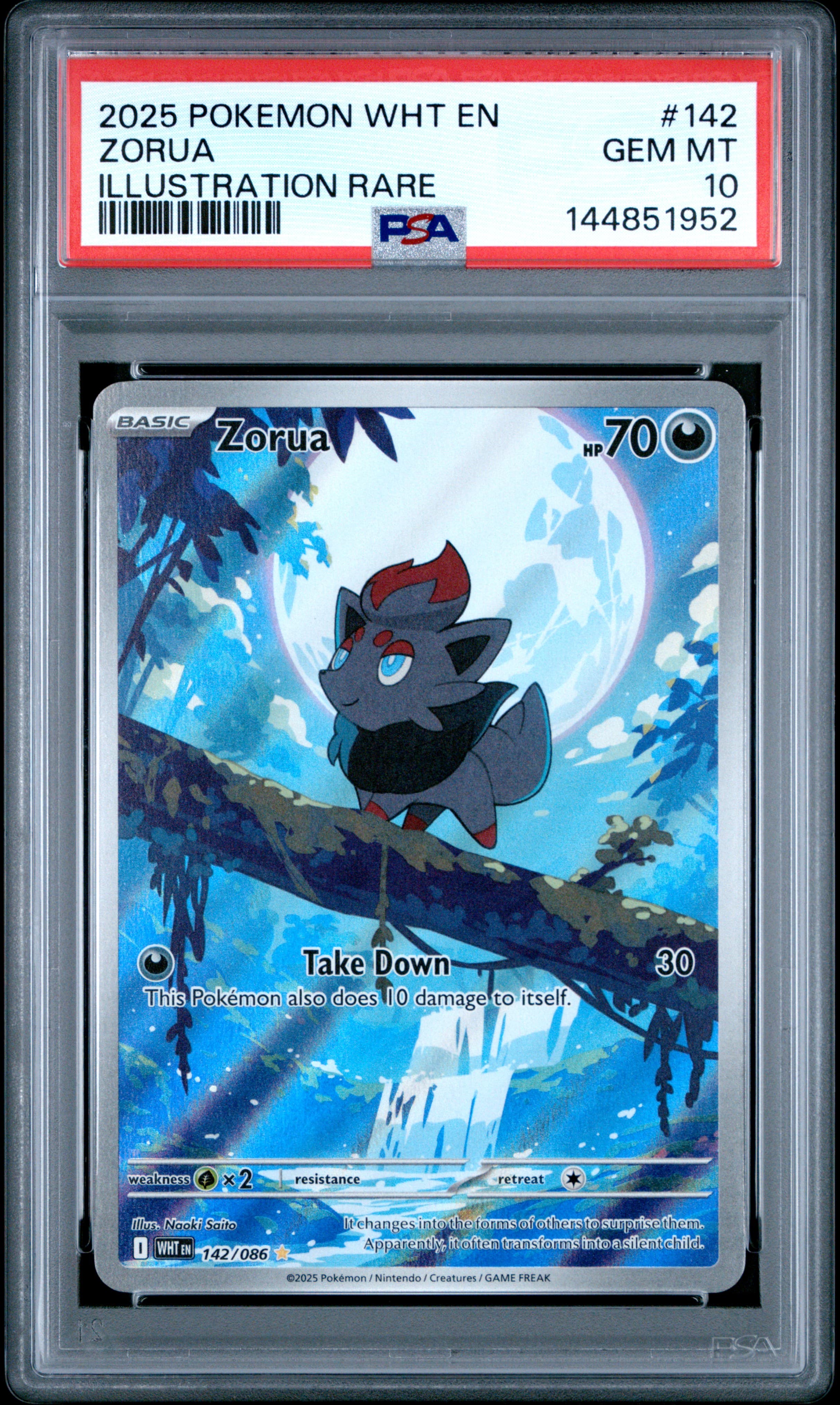 Zorua