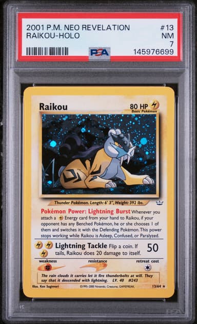 Raikou-Holo