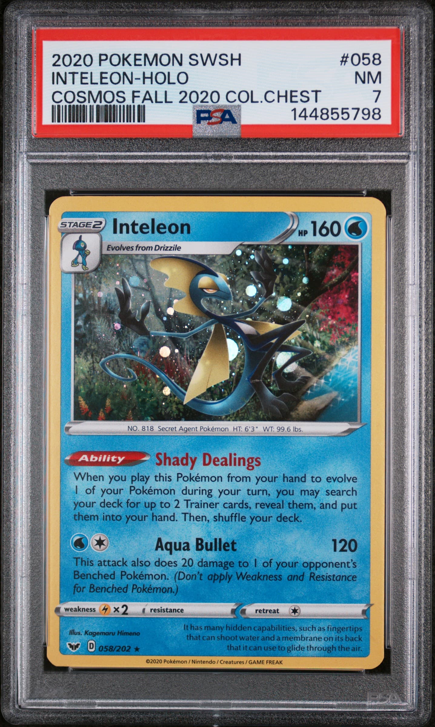 INTELEON-HOLO