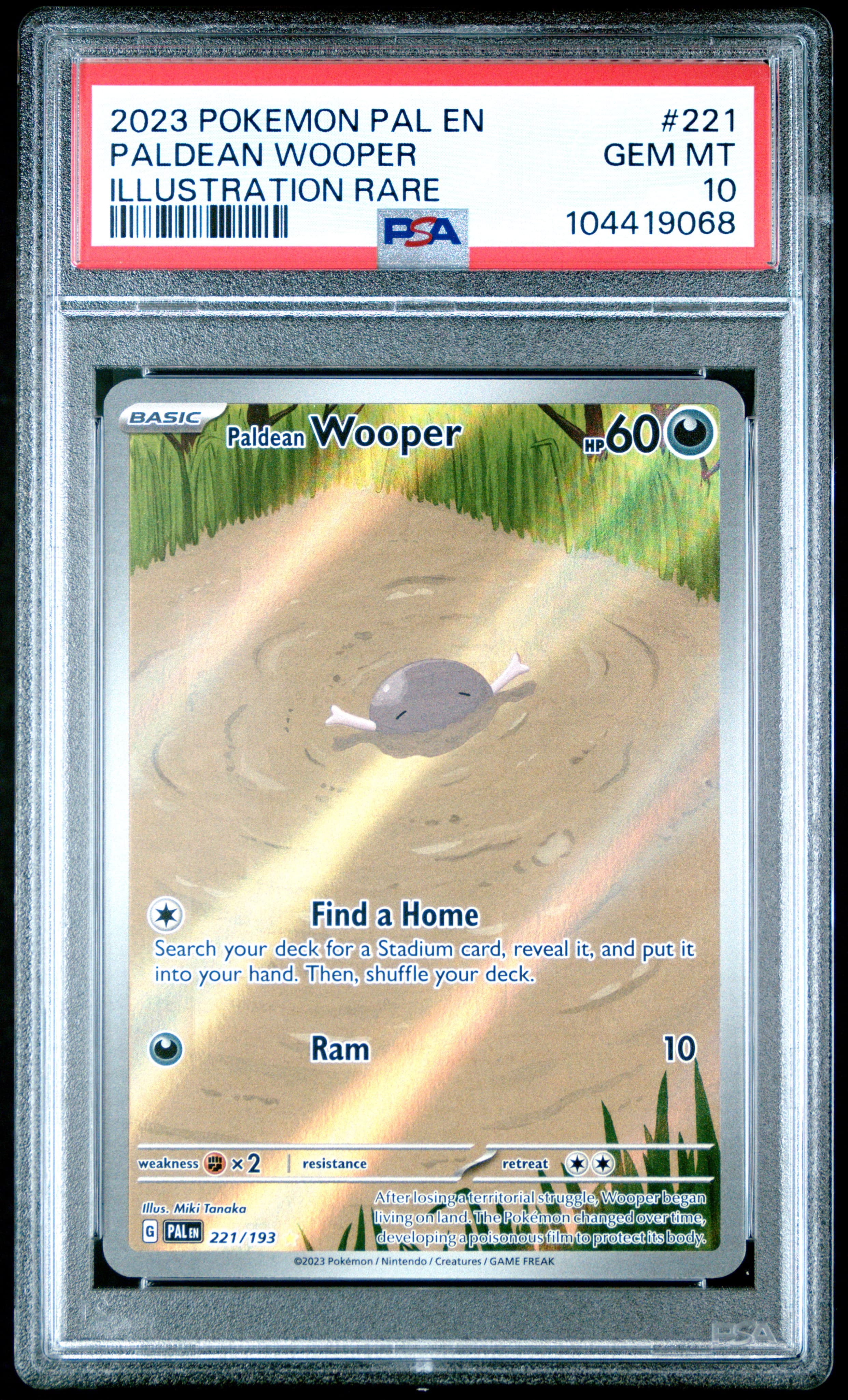Paldean Wooper