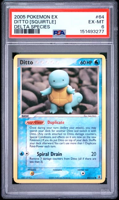 Ditto [Squirtle]