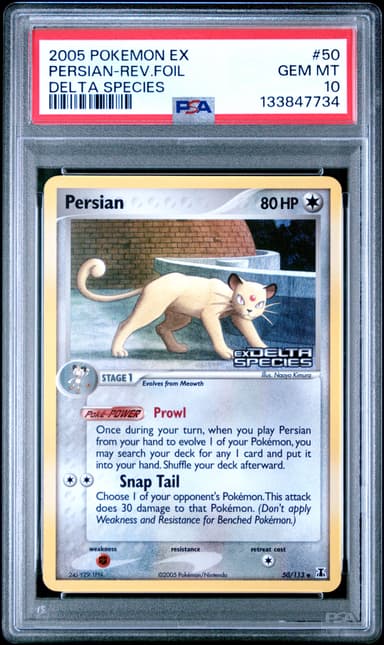 Persian-Reverse Foil