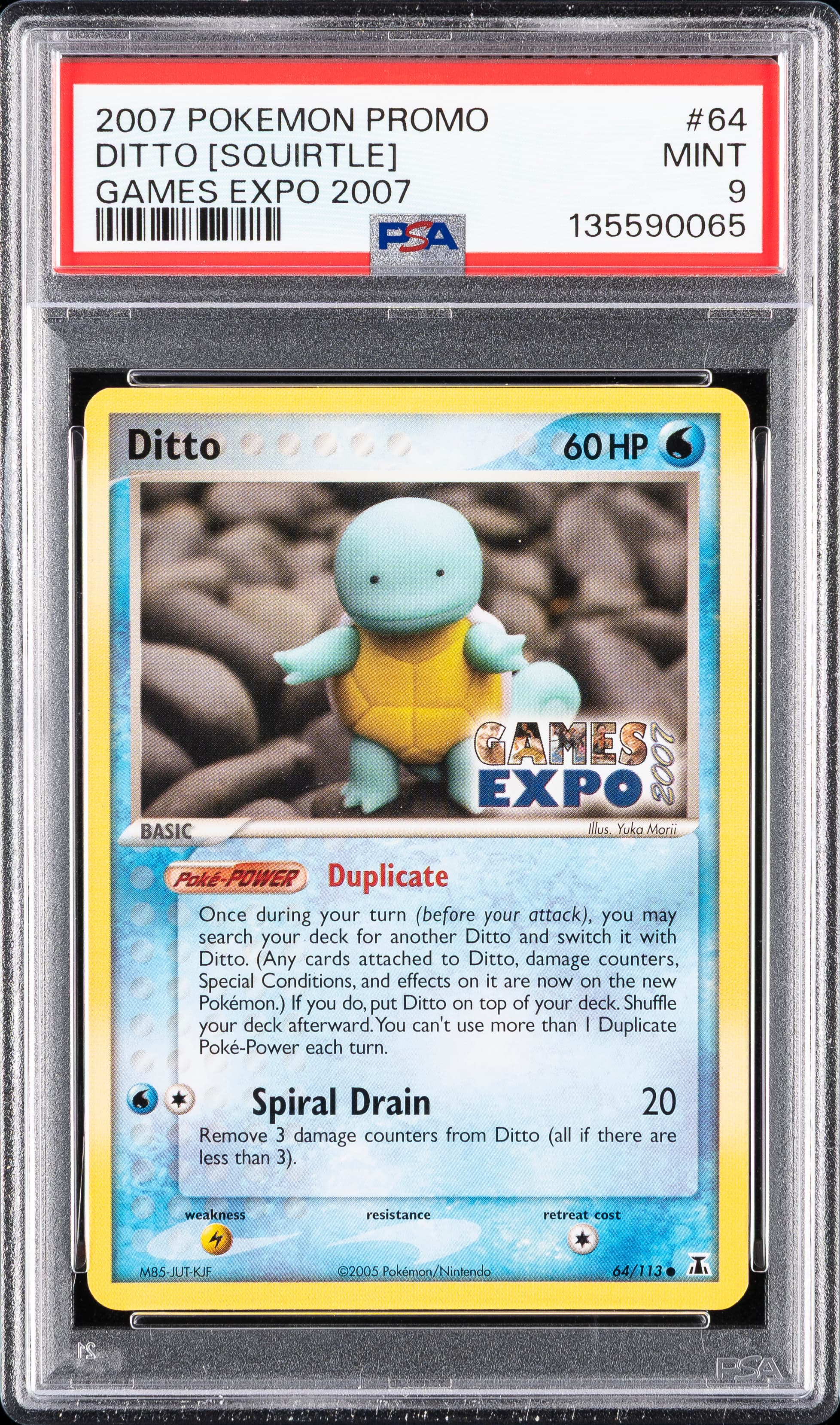 Ditto [Squirtle]